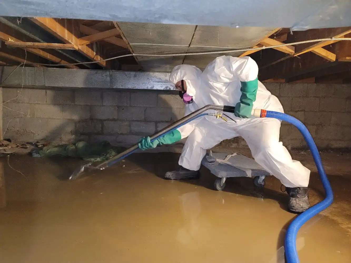 basement cleaning