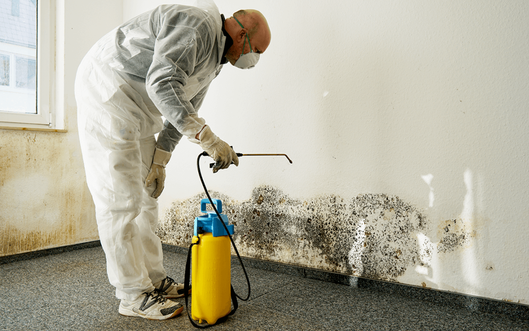 Wall cleaning