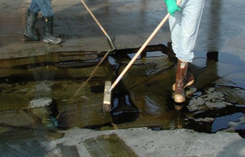 Indicating their presence in the water damage restoration industry.